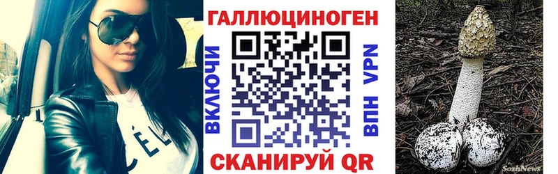 Псилоцибиновые грибы GOLDEN TEACHER наркошоп Шахунья